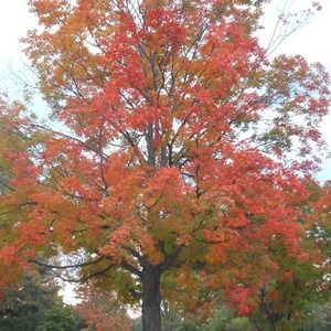 Meet your Posher, Gail